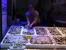 Karadeniz’de avı bollaştı, hamsi fiyatı 100 TL’ye düştü
