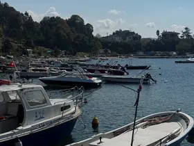 Karadeniz’de bu yıl hamsi beklentisi büyük

