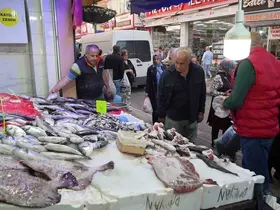 Karadeniz’deki olumsuz hava balık tezgahlarını etkiledi
