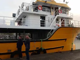 Karadeniz’den bu sezon adeta hamsi fışkırıyor

