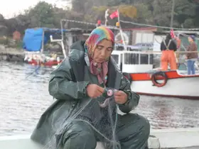Karadeniz’in kadın balıkçıları ekmek mücadelesinde
