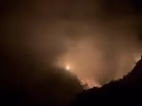 Karaisalı’da ormanlık alanda yangın
