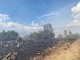 Karakoçan’da çıkan yangın söndürüldü
