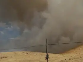 Karakoçan’da örtü yangını
