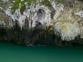 Karakoçan’da su samurları görüntülendi
