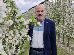 Karaman’da 16 milyon elma ağacı çiçek açarak gelinliğini giydi
