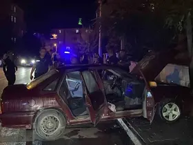 Karaman’da park halindeyken hareket eden otomobil, ağaca çarparak yandı
