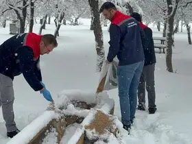 Karaman’da yaban hayvanları ve kuşlar için doğaya yem bırakıldı

