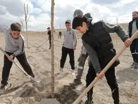 Karapınar’da fidanlar geleceğe nefes olacak