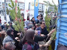 Karapınar’da ağaçlandırma etkinliği

