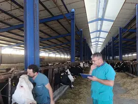 Karapınar'da hastalıktan ari işletmelerde tüberküloz taraması