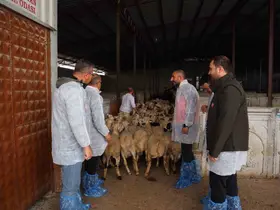 Karapınar’da kesimhanelere denetim