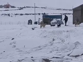 Kars’ın soğuğunda enerji mesaisi: Aras Edaş ekiplerinin soğukla imtihanı
