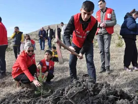 Kars’ta 5 bin 500 fidan toprakla buluştu
