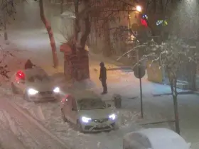 Kars’ta beyaz esaret: Tipiden göz gözü görmüyor
