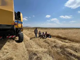 Kars’ta biçerdöver hasadı kontrolleri sıklaştırıldı
