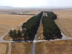 Kars’ta bozkırın ortasındaki vaha havadan görüntülendi
