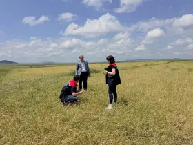 Kars’ta fırtına ve dolu sonrası hasar tespit çalışmaları başladı

