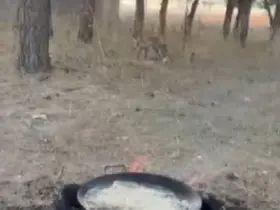 Kars’ta tilkiler yerleşim yerlerinde cirit atıyor
