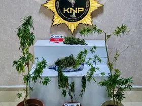 Kars’ta uyuşturucu operasyonu: Evden 272 gram esrar ve 6 kök Hint keneviri çıktı
