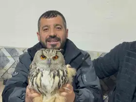 Kars’ta yaralı puhuya şefkat eli
