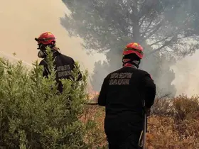 Kartal Belediyesi’nden Balıkesir’deki orman yangını müdahalelerine destek
