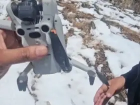 Kartal droneyi havada kaptı, zirvede bıraktı
