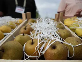 Kartepe Armut Şenliği’nde yöresel lezzetler vatandaşlarla buluştu
