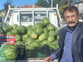 Kasım ayı geldi, karpuz tezgahtan inmedi

