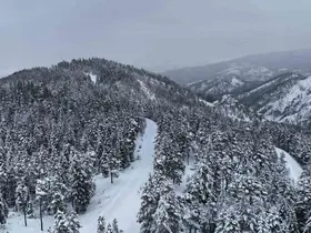 Kastamonu ormanlarında kış güzelliği
