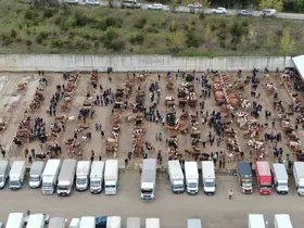 Kastamonu’da canlı hayvan pazarları kapatıldı
