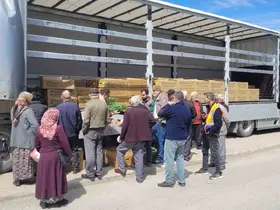 Kastamonu’da çiftçilere 147 bin adet sebze fidesi dağıtıldı

