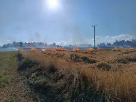 Kastamonu’da çıkan yangında 13 dönümlük tarar zarar gördü
