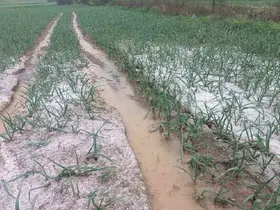 Kastamonu’da dolu yağışı etkili oldu
