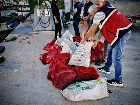 Kastamonu’da kaçak avlanan 142 kalkan balığına el konuldu
