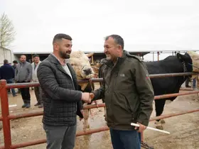 Kastamonu’da Kurban Bayramı hareketliliği: 850 kilogramlık tosun 340 bin liraya alıcı buldu
