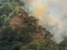 Kastamonu’da orman yangınında 40 dönümlük alan zarar gördü
