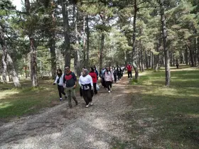Kastamonu’da üniversite öğrencileri doğayla buluştu, şehrin doğal güzelliklerini tanıdı

