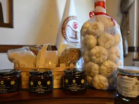 Kastamonu’nun coğrafi işaretli yöresel ürünleri Migros raflarında yer alacak

