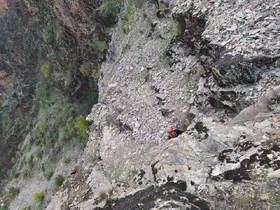Kayalıklarda mahsur kalan keçiler kurtarıldı
