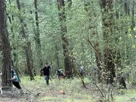 Kayalıklardan düşerek yaralanan şahıs 4 saatlik operasyonla kurtarıldı

