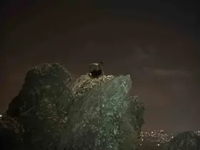Kayanın üzerinde gündüz uyuyup, gece uyanarak mahsur kalan şahsı AFAD kurtardı
