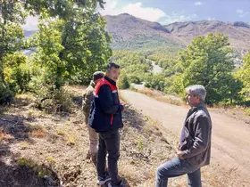 Kaybolan 9 büyükbaş hayvan dron ile bulundu
