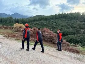 Kayıp yaşlı kadın ormanlık alanda aranıyor
