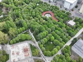 Kayseri’de 300 bin kök organik domates fidesine yoğun ilgi
