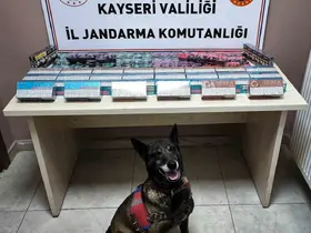 Kayseri’de kaçak sigara operasyonu
