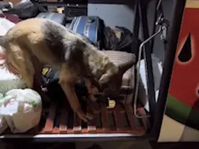 Kayseri’de yolcu otobüsü operasyonu: 3 kilo 420 gram uyuşturucuyla yakalanan 2 şüpheli tutuklandı
