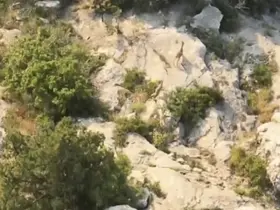 Kazankaya Kanyonu’nda yaban keçileri doğal yaşam alanlarında görüntülendi
