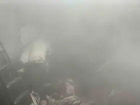 Kediler ısınsın diye kullanılan elektrikli ısıtıcı yangına sebep oldu
