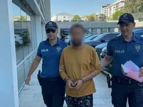 Kediye tekme atarken kameraya yansıyan şahıs yakalandı
